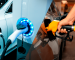 Híbridos, elétricos e à combustão: entenda as diferenças entre esses tipos de veículos