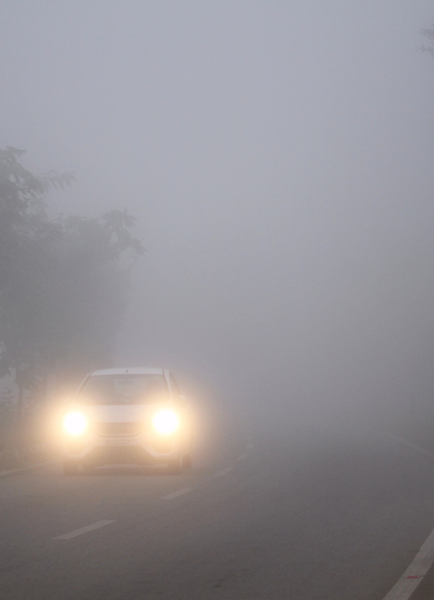 Neblina e baixa visibilidade: o que todo motorista precisa saber para ter segurança na estrada