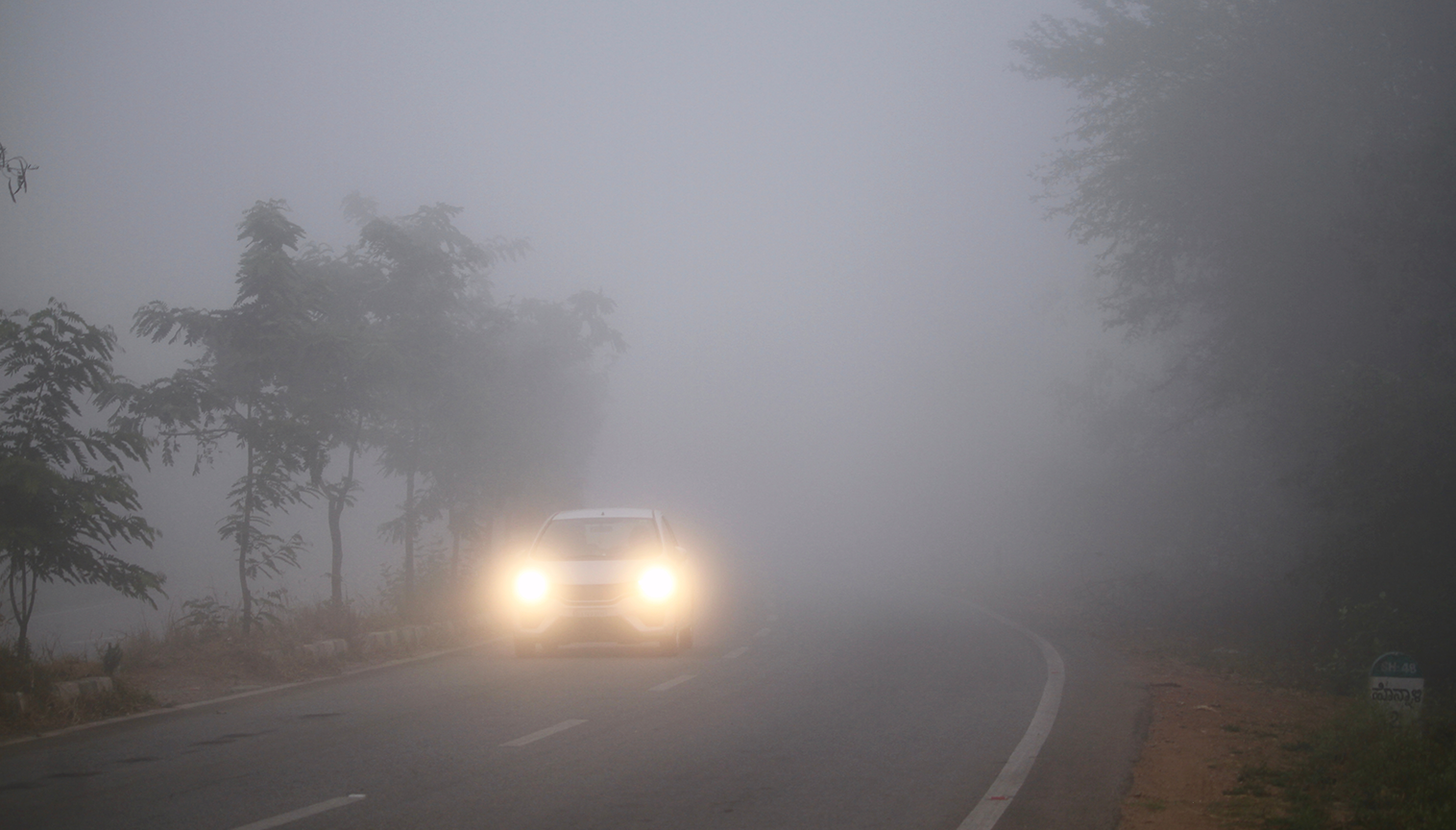Estrada coberta por neblina espessa, criando condições de baixa visibilidade para motoristas, com árvores parcialmente visíveis ao redor